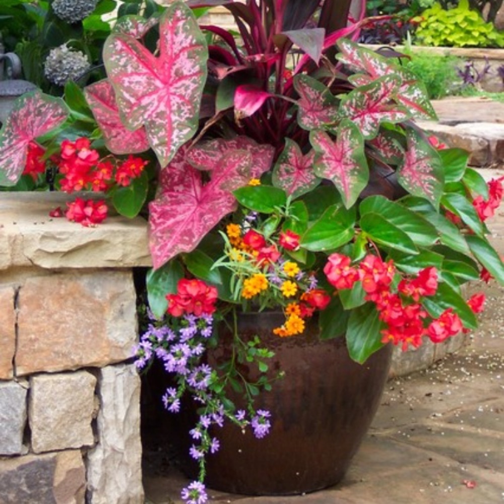 Meet your Posher, Natasha